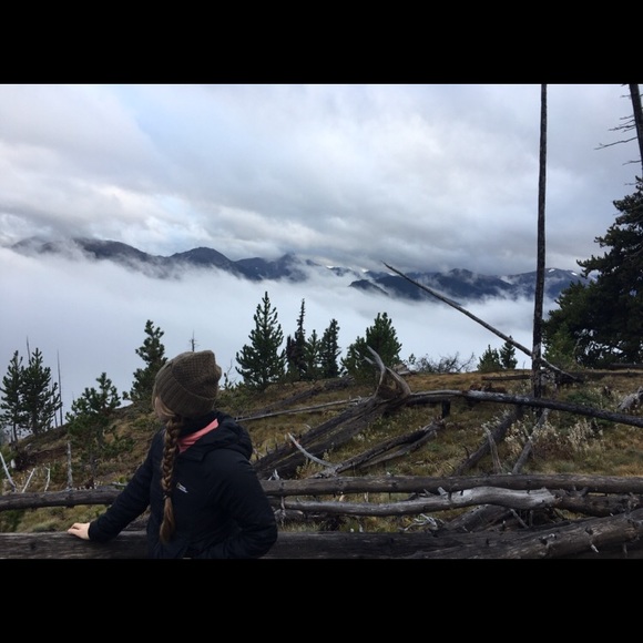 Meet your Posher, Lily - Picture 2 of 3